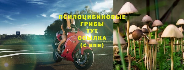 амф Краснослободск